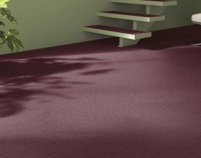 Wykładziny dywanowe w rolce - Vorwerk Essential 1031 Foris