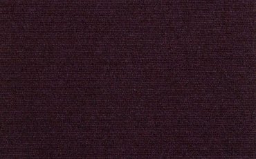 12184-australian-violet