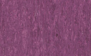 Purple 0255