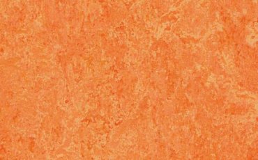 134645 3241 orange sorbet