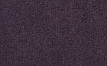 Brezina-color-080-Purple
