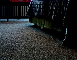 Wykładziny dywanowe w rolce - Lano - Pearl