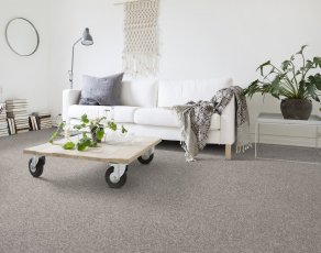 Wykładziny dywanowe w rolce - Lano - Startwist Supreme